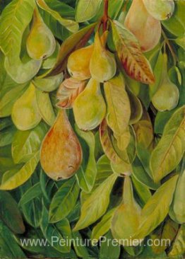 Cabazina Pears, Brésil Cabazina Pears, Brésil