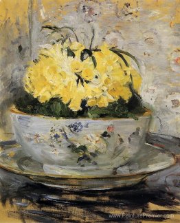 Jonquilles Jonquilles