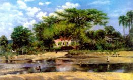 Un paineira de Ponce - La Ceiba de Ponce Un paineira de Ponce - La Ceiba de Ponce