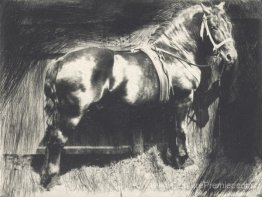 Le cheval Le cheval