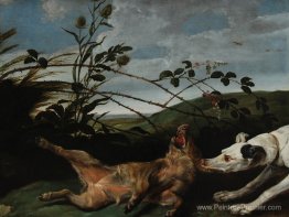 Greyhound attrapant un jeune sanglier Greyhound attrapant un jeune sanglier