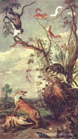 Renard et chat Renard et chat