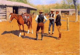 Acheter des poneys de polo en Occident Acheter des poneys de polo en Occident