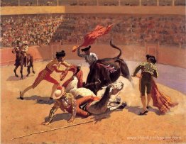 Bull Fight au Mexique Bull Fight au Mexique