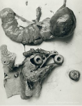 Les poules Les poules