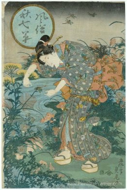 Sept plantes d'automne à la mode Sept plantes d'automne à la mode