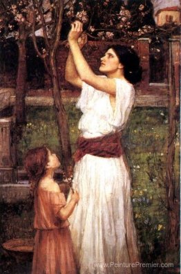 Rassembler des fleurs d'amande Rassembler des fleurs d'amande