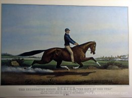 Dexter, «Le roi du gazon» Dexter, «Le roi du gazon»