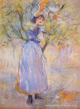 Le cueilleur d'orange Le cueilleur d'orange