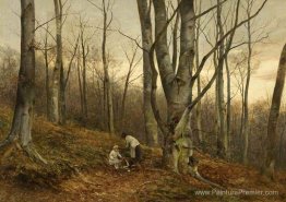 Un bois de hêtre, Malvern, Worcestershire Un bois de hêtre, Malvern, Worcestershire