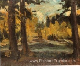 Paysage Paysage