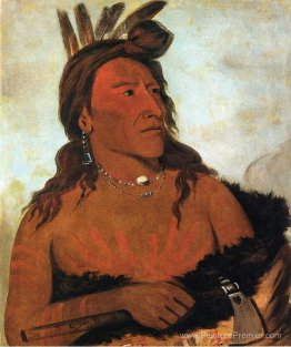 Petit ours, hunkpapa courageux Petit ours, hunkpapa courageux