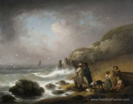 Tirer sur la volaille de mer Tirer sur la volaille de mer