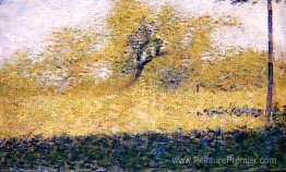 Bord du bois, printemps Bord du bois, printemps