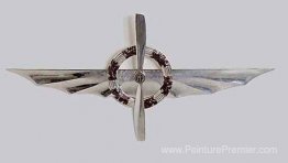 Aile argentée avec couronne Aile argentée avec couronne