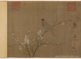 Parket à cinq couleurs sur un arbre d'abricot florissant Parket à cinq couleurs sur un arbre d'abricot florissant