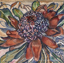 Waratah Waratah