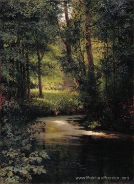 Creek dans la forêt Creek dans la forêt