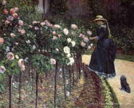 Roses dans le jardin de Petit Gennevilliers Roses dans le jardin de Petit Gennevilliers