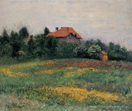Paysage normand Paysage normand