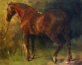 Le cheval anglais de M. Duval Le cheval anglais de M. Duval