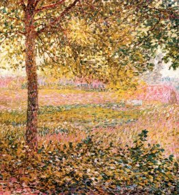 Paysage Paysage