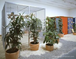 Tropicália, pénétrables pn 2 «La pureté est un mythe» et pn 3 «i Tropicália, pénétrables pn 2 «La pureté est un mythe» et pn 3 «i
