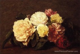 Des roses Des roses