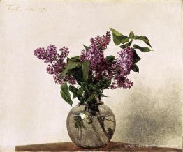 Lilas Lilas