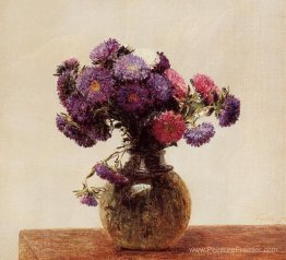 Reines marguerites Reines marguerites
