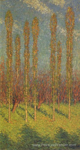 Des peupliers au printemps Des peupliers au printemps