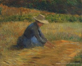 Femme paysanne dans les champs Femme paysanne dans les champs
