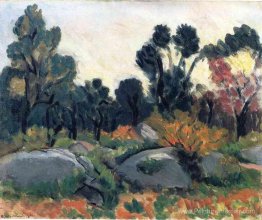 Paysage Paysage