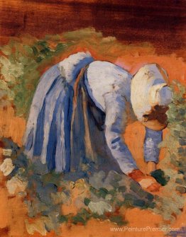 Étudier pour les cueilleurs de raisin Étudier pour les cueilleurs de raisin