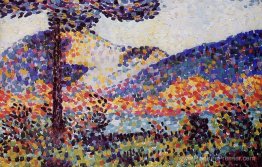 Paysage Paysage