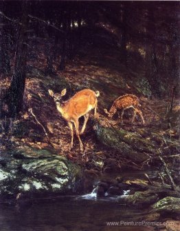 Faune Faune