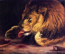 Lion léchant sa patte Lion léchant sa patte