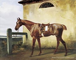 Un cheval de course aux prises attaché à une clôture Un cheval de course aux prises attaché à une clôture