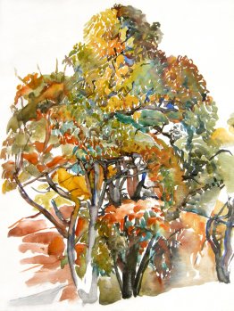 Des châtaignes à l'automne à Antagnes, en Suisse Des châtaignes à l'automne à Antagnes, en Suisse