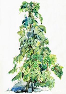 Vine-stock à printemps - aquarelle en Suisse Vine-stock à printemps - aquarelle en Suisse