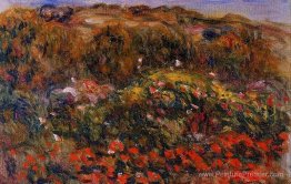 Paysage Paysage