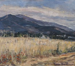 Paysage Paysage