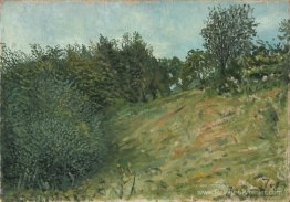 Jardin à Văratec Jardin à Văratec