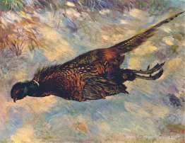 Faisan mort dans la neige Faisan mort dans la neige