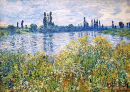 Fleurs sur les rives de Seine près de Vetheuil Fleurs sur les rives de Seine près de Vetheuil