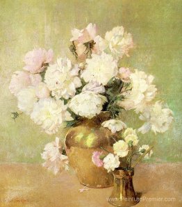 Pivoines Pivoines