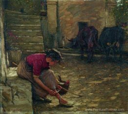 Sortir avec les vaches Sortir avec les vaches