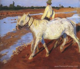 Les chevaux Les chevaux