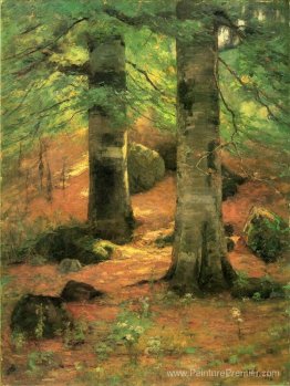 Beeches Vernon Beeches Vernon