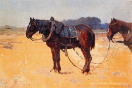 Travail des chevaux Travail des chevaux